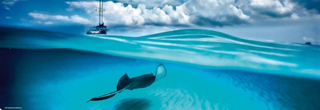 Puzzle panoramic Rejnok - Insulele Cayman 1000 de piese