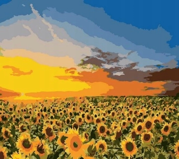 Norimpex pictură după numere Floarea-soarelui în lan 40 × 50 cm