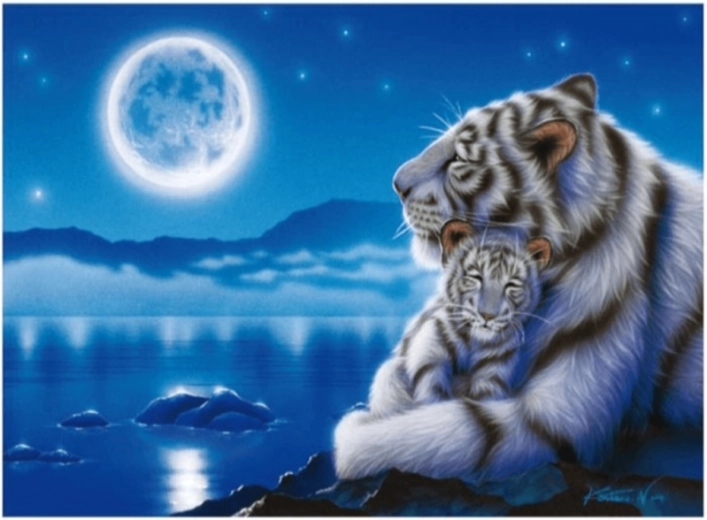 Pictură cu diamante – tigri albi în lumina lunii 40 × 30 cm