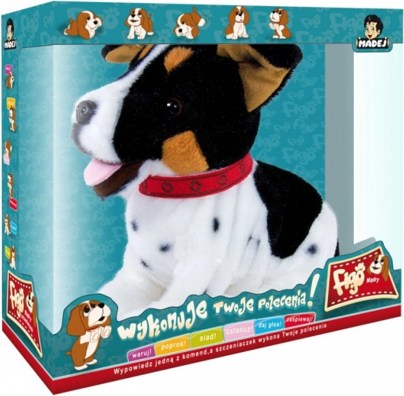 Figo mascotă interactivă Jack Russell Terrier câine care răspunde la comenzi