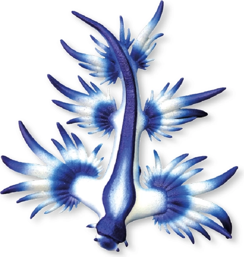 Figurină Bullyland melc de mare albastru