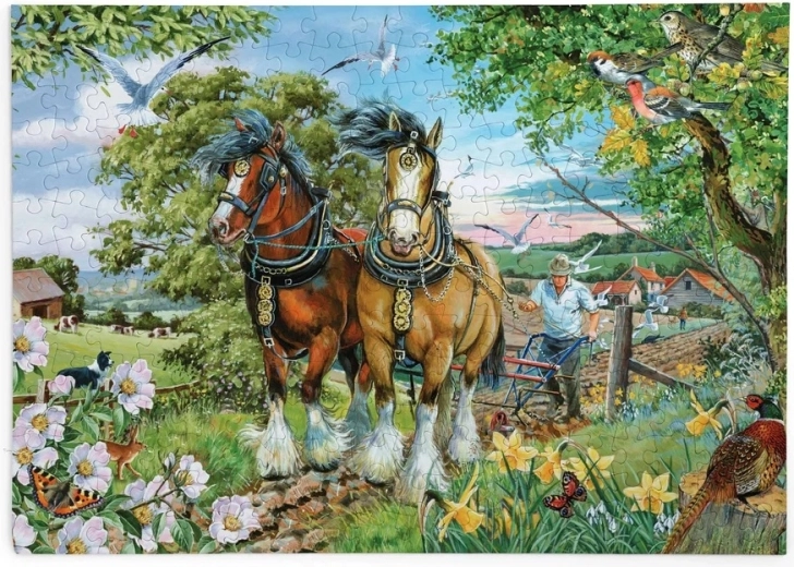 Puzzle Frumusețea și forța cailor cu piese mari