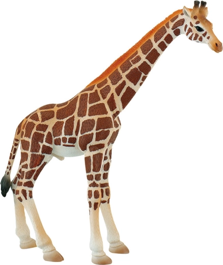 girafă