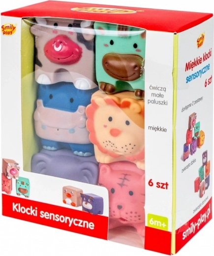 Blocuri senzoriale moi, 6 bucăți