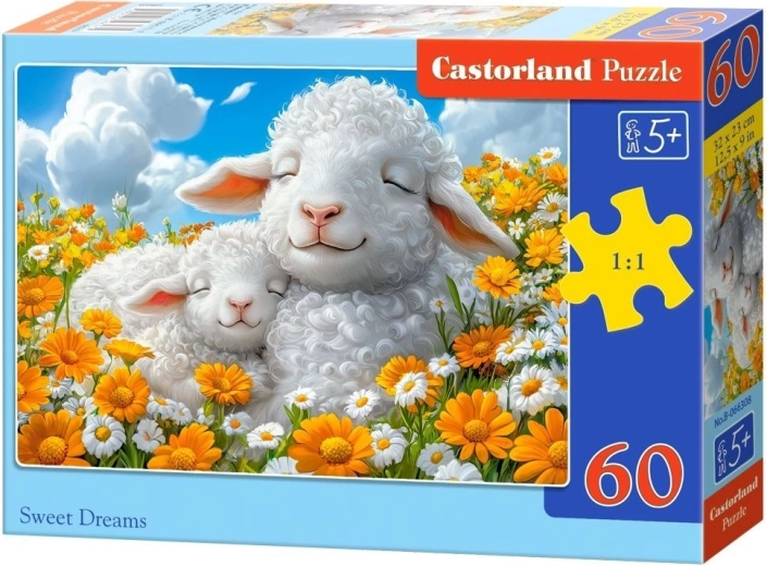 Puzzle Castorland Vis dulce 60 piese