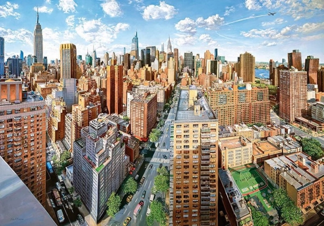 Puzzle Cherry Pazzi Vremuri Bune: New York 1000 piese