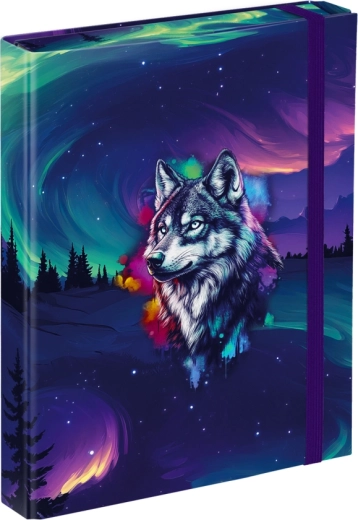 Mape pentru caiete A5 Baagl Aurora