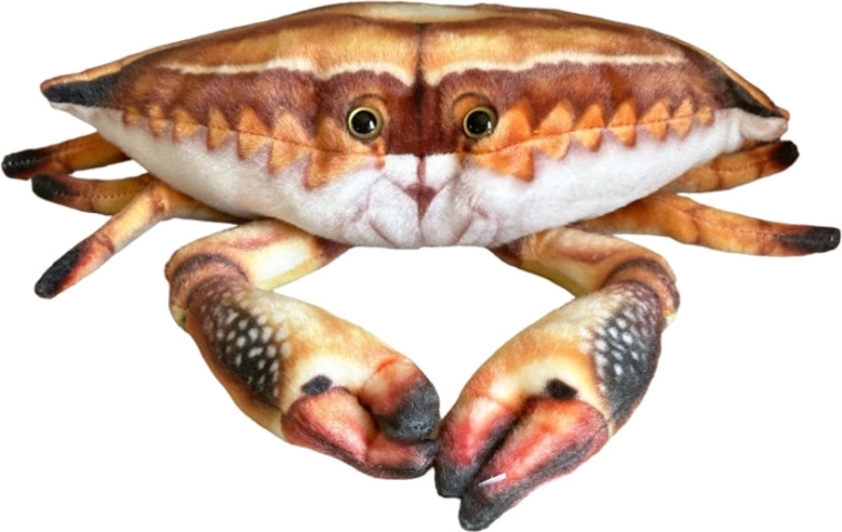 Crab de pluș 31 cm
