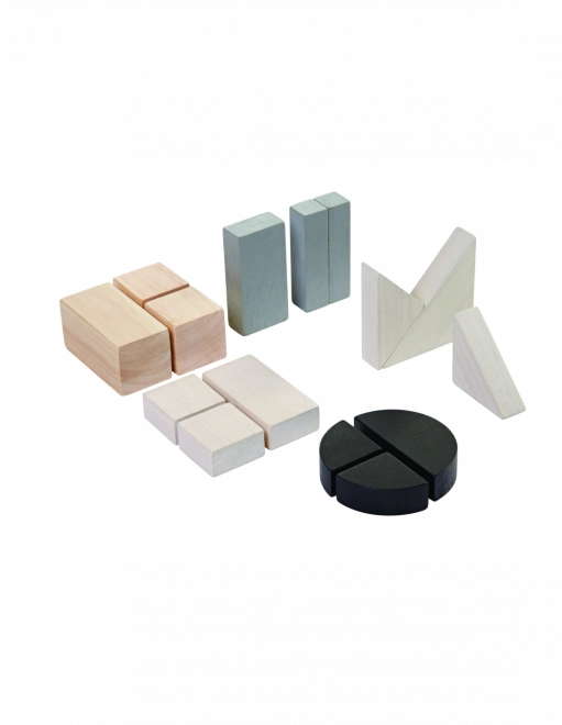 PlanToys cuburi fracționare din lemn pentru învățarea fracțiilor