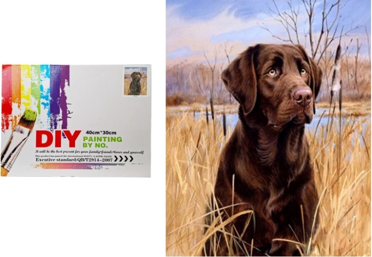 Pictură după numere – câine în stufăriș