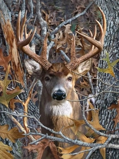 Pictură cu diamante – privirea cerbului 30 × 40 cm