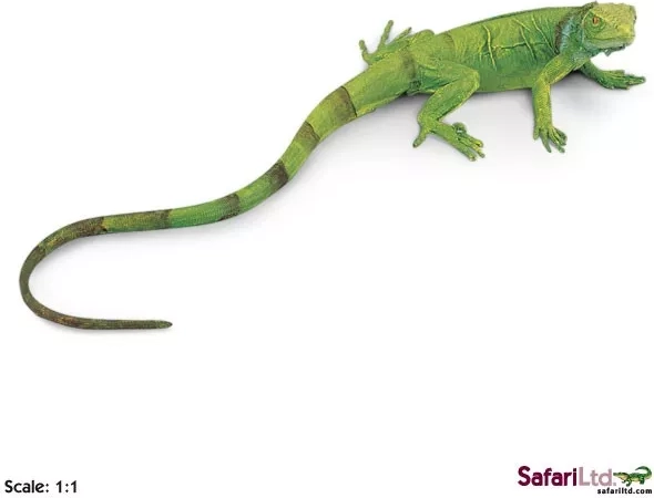 Safari Ltd. pui de iguană verde - 1 bucată