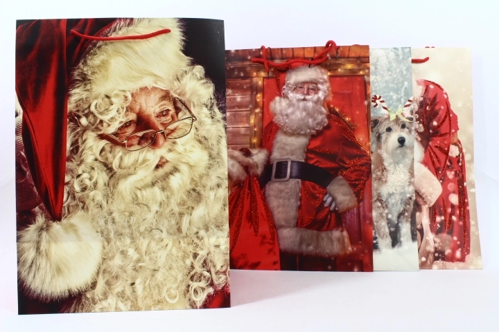 Pungă cadou pentru ocazii festive, mărimea L - 1 bucată