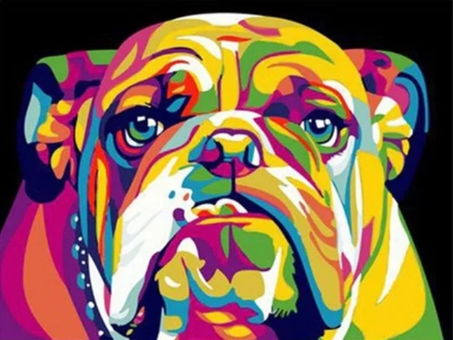 NORIMPEX Pictură pe numere Bulldog colorat 40 × 50 cm