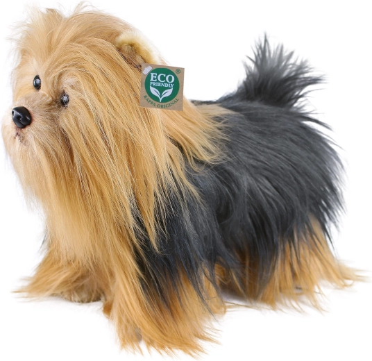 Yorkshire terrier plușat în picioare, 30 cm, Eco-Friendly