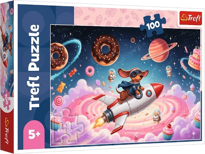 Puzzle 100 piese arici pe rachetă