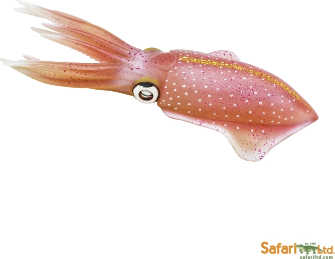 Calmar comun Safari Ltd.