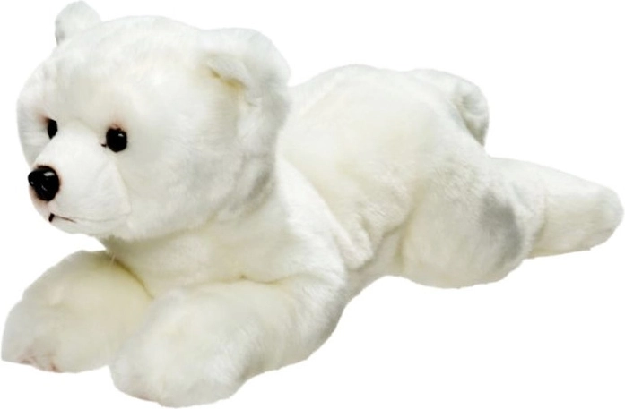 Urs polar