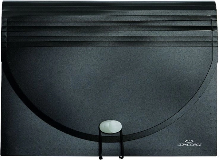 Organizator pentru documente cu elastic, 25 de buzunare