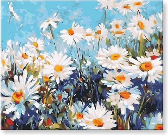Norimpex Pictură după numere Margarete 40 × 50 cm