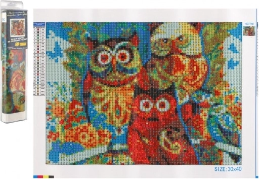 Pictură cu diamante Bufniță 30x40 cm