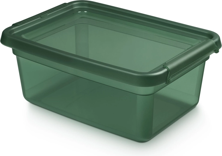 Basestore cutie de depozitare din plastic cu capac și cleme pine 12,5 l