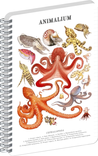 Bloc spiral Notique Animalium – Cefalopode, dictando, A4