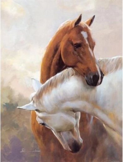 Broderie cu diamante (diamond painting) – doi cai 30 × 40 cm - 1 bucată