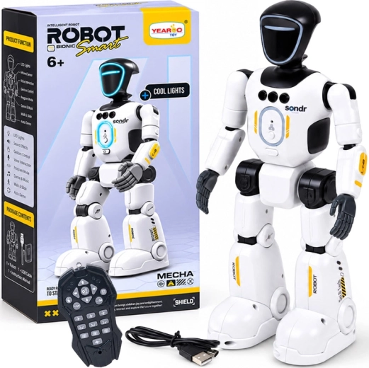 Robot interactiv controlat de la distanță și prin gesturi Smart