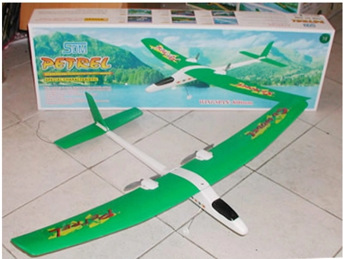 Avion RC Petrel cu propulsie electrică și control pe două canale