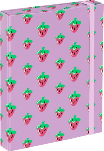 Mape pentru caiete școlare A5 Baagl Lavender