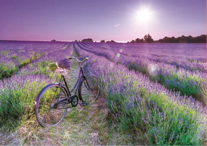 Educa puzzle Bicicletă în lanul de lavandă 1000 piese