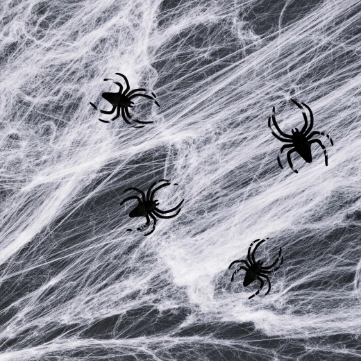 Pânză de păianjen albă de Halloween cu păianjeni