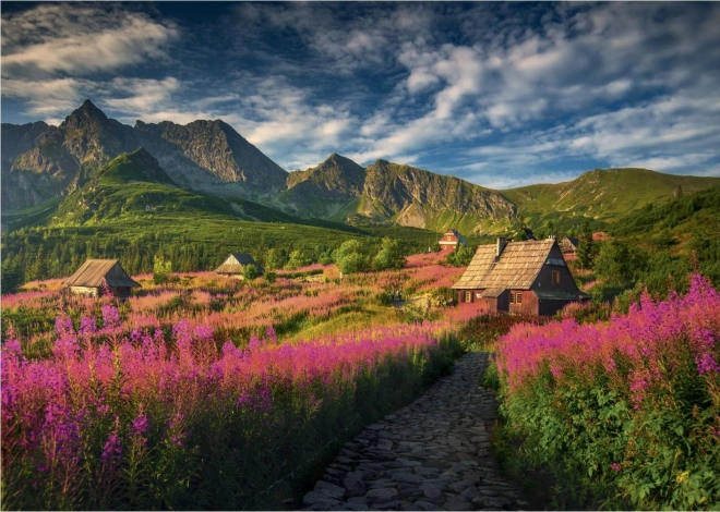 Puzzle Valea Gaseinicova 1000 de piese