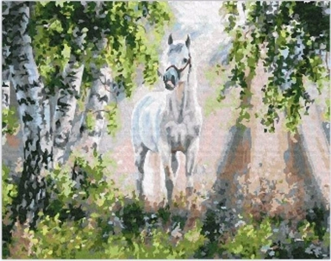 Pictură cu diamante cal alb 30 × 40 cm