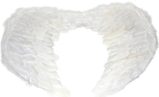 Aripi mari de înger