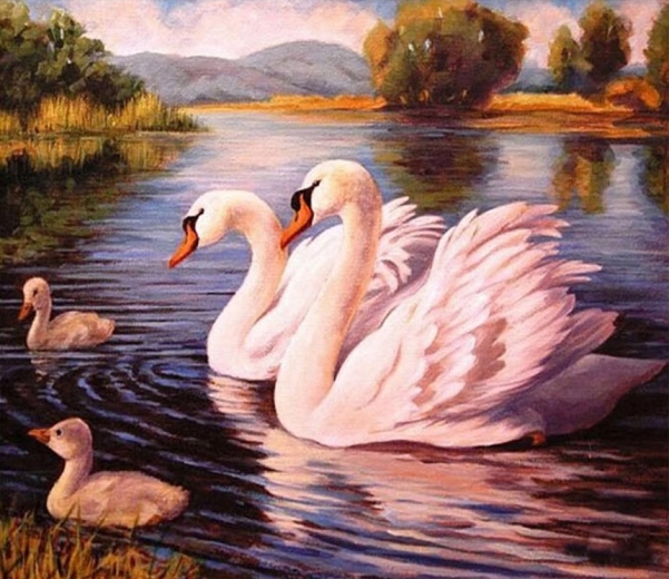 Norimpex Pictură pe numere Lebede 40 × 50 cm