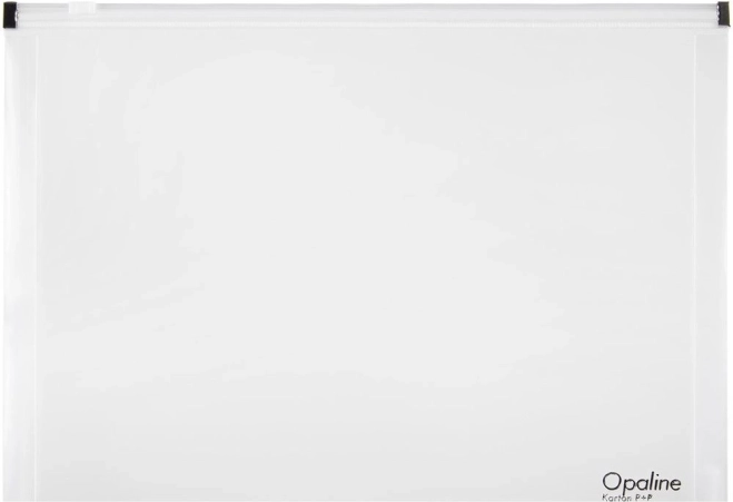 Plic cu fermoar A5 transparent Opaline