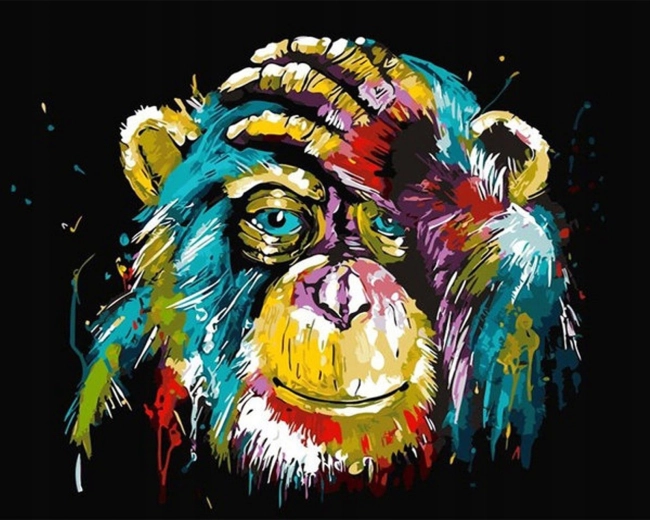 Norimpex Pictură pe numere Maimuță colorată 40 × 50 cm