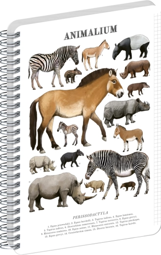 Bloc cu spirală Notique Animalium – ungulate cu copite impare, A5, cu pătrățele