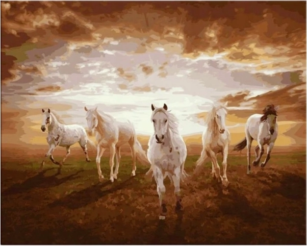 Tablou pictură pe numere în ramă 50 × 40 cm cai în galop