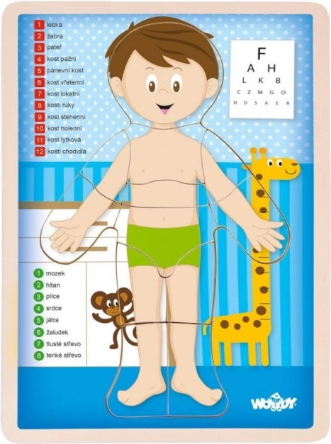 Puzzle dublu Woody Corpul uman - băiat