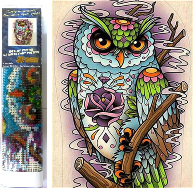 Pictură cu diamante bufnița înțeleaptă 30x40 cm