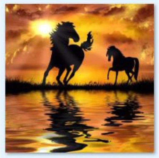 Mozaic cu diamante (diamond painting) Cai – apus de soare 30 × 30 cm - 1 bucată