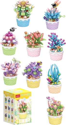 Florist suculente în ghivece decorative (9 tipuri) - 1 bucată