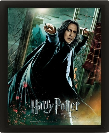 Tablou 3D HARRY POTTER – Severus Snape