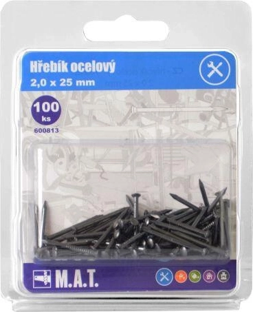 Cuie din oțel 25 × 2,0 mm (100 buc.)