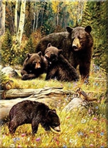 Pictură cu diamante – Urși în poiană 30 × 40 cm