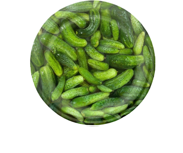 Set de capace pentru conservare 82 mm cu motiv castraveți, 6 zimți, 10 buc