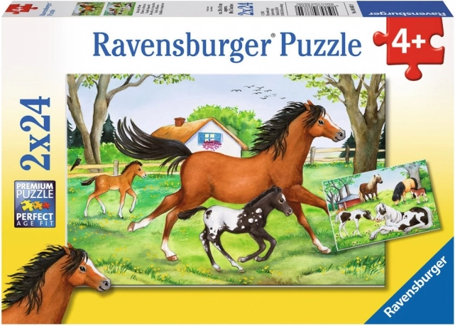 RAVENSBURGER puzzle lumea cailor 2×24 piese